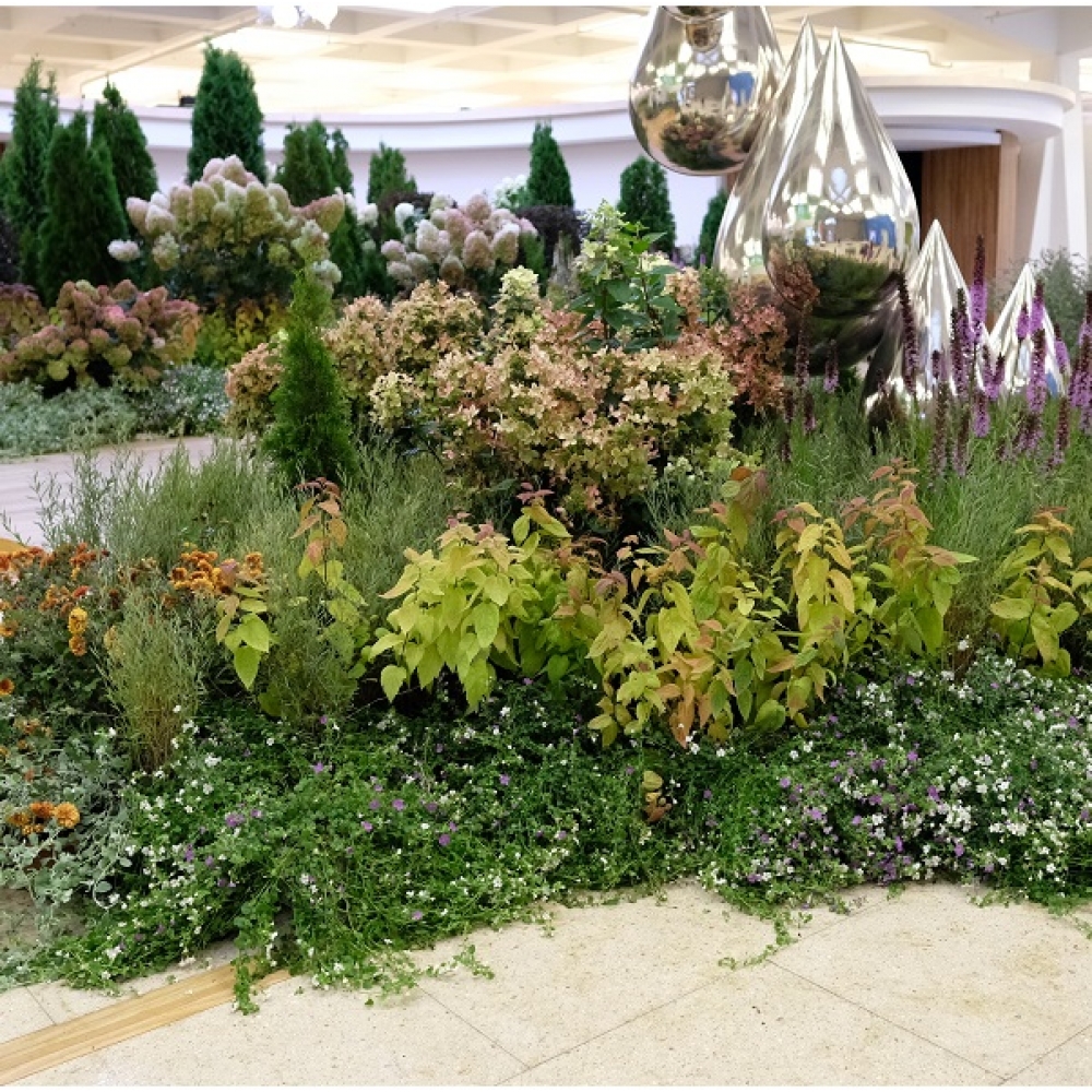 Миксбордеры