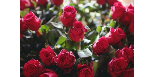 Анонс !! Вебинар " Розы  6 марта.