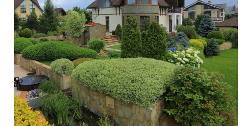   Вебинар на тему : "Растения для дендропластики и живых изгородей ".