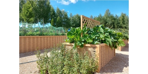 Декоративный огород. Крастота и польза.