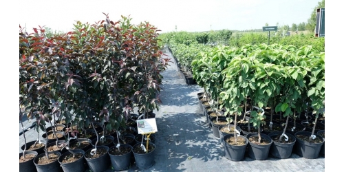 ОКС и ЗКС - что за зверь?