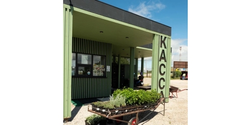 Где покупать саженцы?