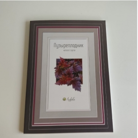 Каталог сортов Пузыреплодник